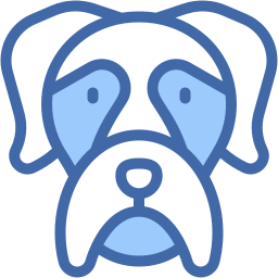 boxer two color icon