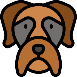 boxer icon