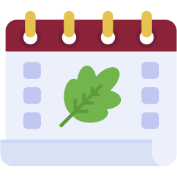 calendar flat icon
