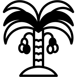 date palm icon