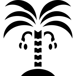 date palm icon