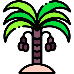 date palm icon