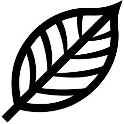 feuille ligne icône