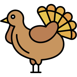 turkey lineal color icon
