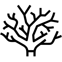 珊瑚 线条 图标