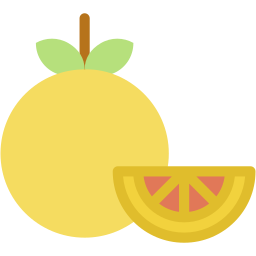 orange flat icon