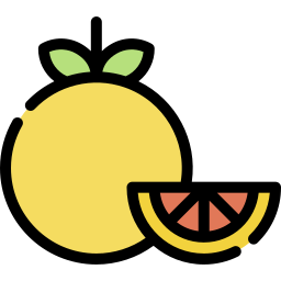 orange lineal color icon