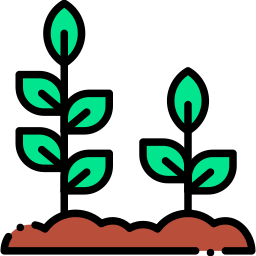 sprout lineal color icon