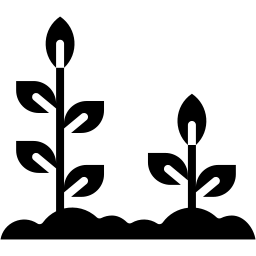 sprout filled icon