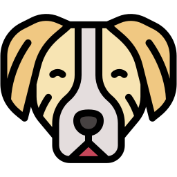 dog head lineal color icon