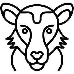 lion line icon