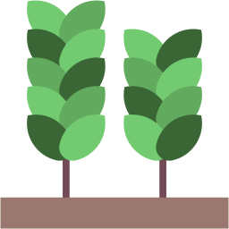 wheat flat icon