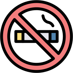 no smoking lineal color icon