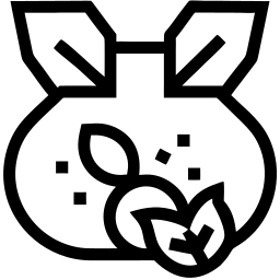 水果 线条 图标