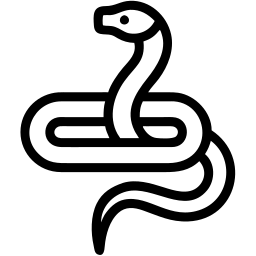 蛇 线条 图标