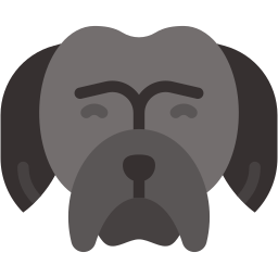 shih tzu datar ikon