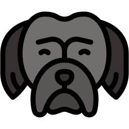 shih tzu lineal color icon