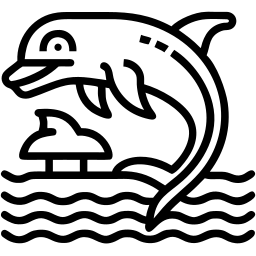 海豚 线条 图标