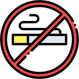 Rauchen verboten lineal farbe Icon