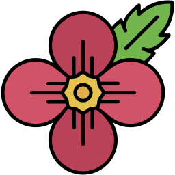 poppy lineal color icon