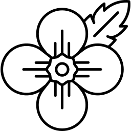 poppy line icon