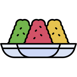 rice balls lineal color icon