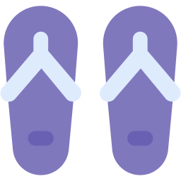 flip flops flat icon