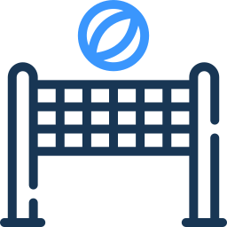 volleyball two color icon
