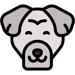 dog icon