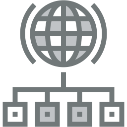 network two color icon