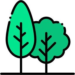 forêt couleur linéaire icône