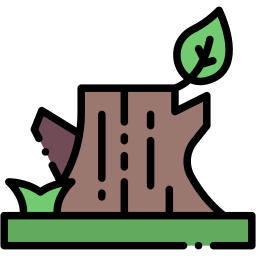 tree stump lineal color icon