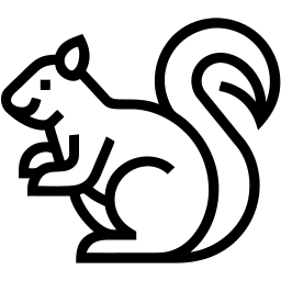 squirrel line icon