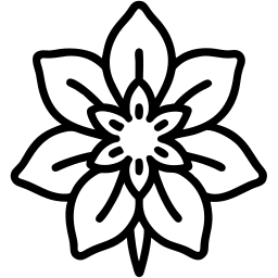 tropical flower line icon