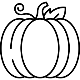 pumpkin line icon
