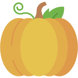 pumpkin flat icon