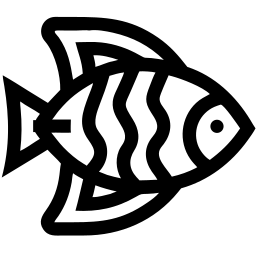 鱼 线条 图标