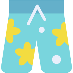board shorts flat icon