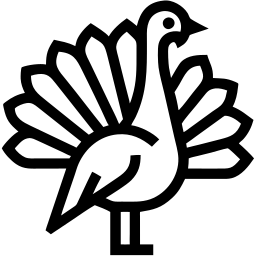 turkey line icon