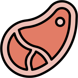 steak lineal color icon