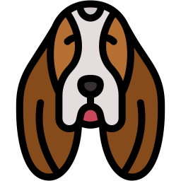 basset hound lineal color icon