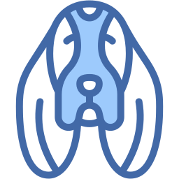 basset hound two color icon