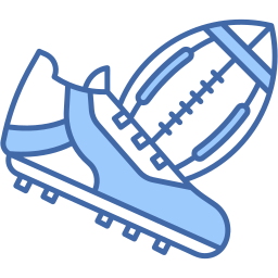 football two color icon