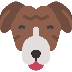 dog flat icon