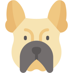 french bulldog flat icon