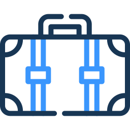 luggage two color icon