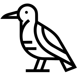 鸟 线条 图标