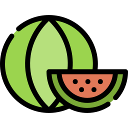 watermelon icon