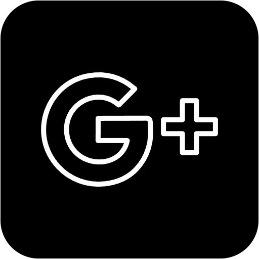 google artı dolu simge