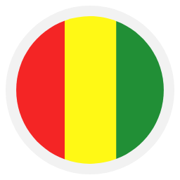 Guinea 扁平 图标